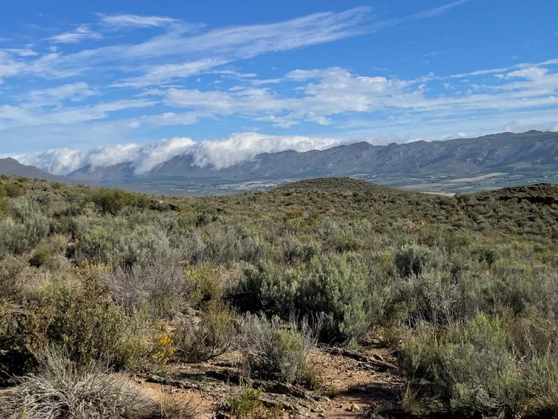 0 Bedroom Property for Sale in Montagu Rural Western Cape